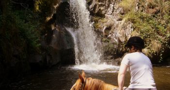 Comment choisir un cheval à sa taille ?