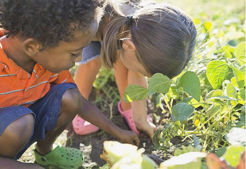 enfant-jardinage-plante