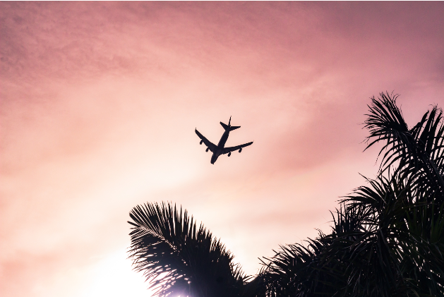 Avion dans un ciel rosé