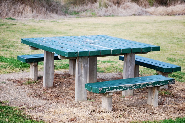 Table à pique-nique pour les enfants