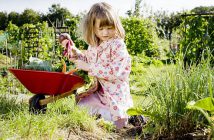 jardin-potager-enfant