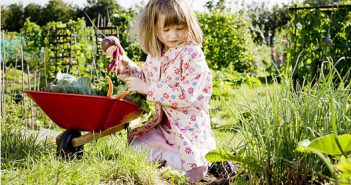 jardin-potager-enfant